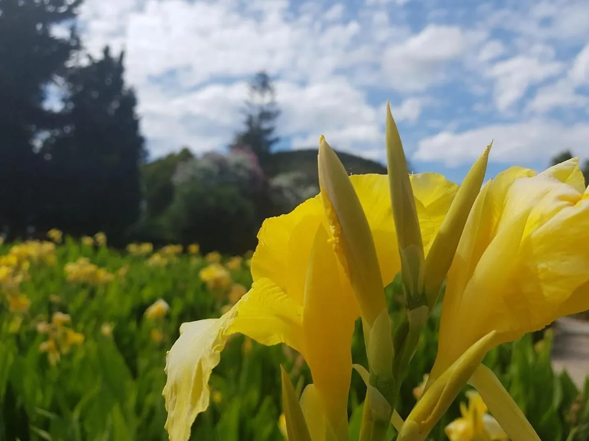 Gasthof Arenosu Comfort Country Resort Fertilia