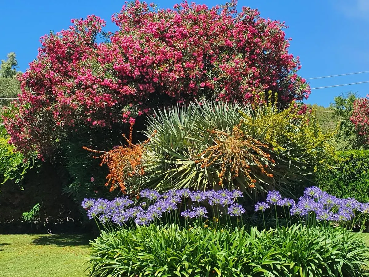Arenosu Comfort Country Resort Fertilia