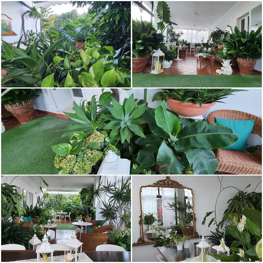 Arenosu Comfort Country Resort Fertilia Italië